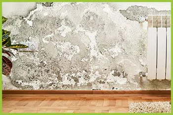 Palm Beach Restoration Company Palm Beach, FL 561-370-6476 - serv-damage-v2-wgr-34