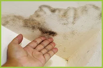 Palm Beach Restoration Company Palm Beach, FL 561-370-6476 - serv-wgr34