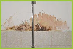 Palm Beach Restoration Company Palm Beach, FL 561-370-6476 Palm Beach Restoration Company Palm Beach, FL 561-370-6476